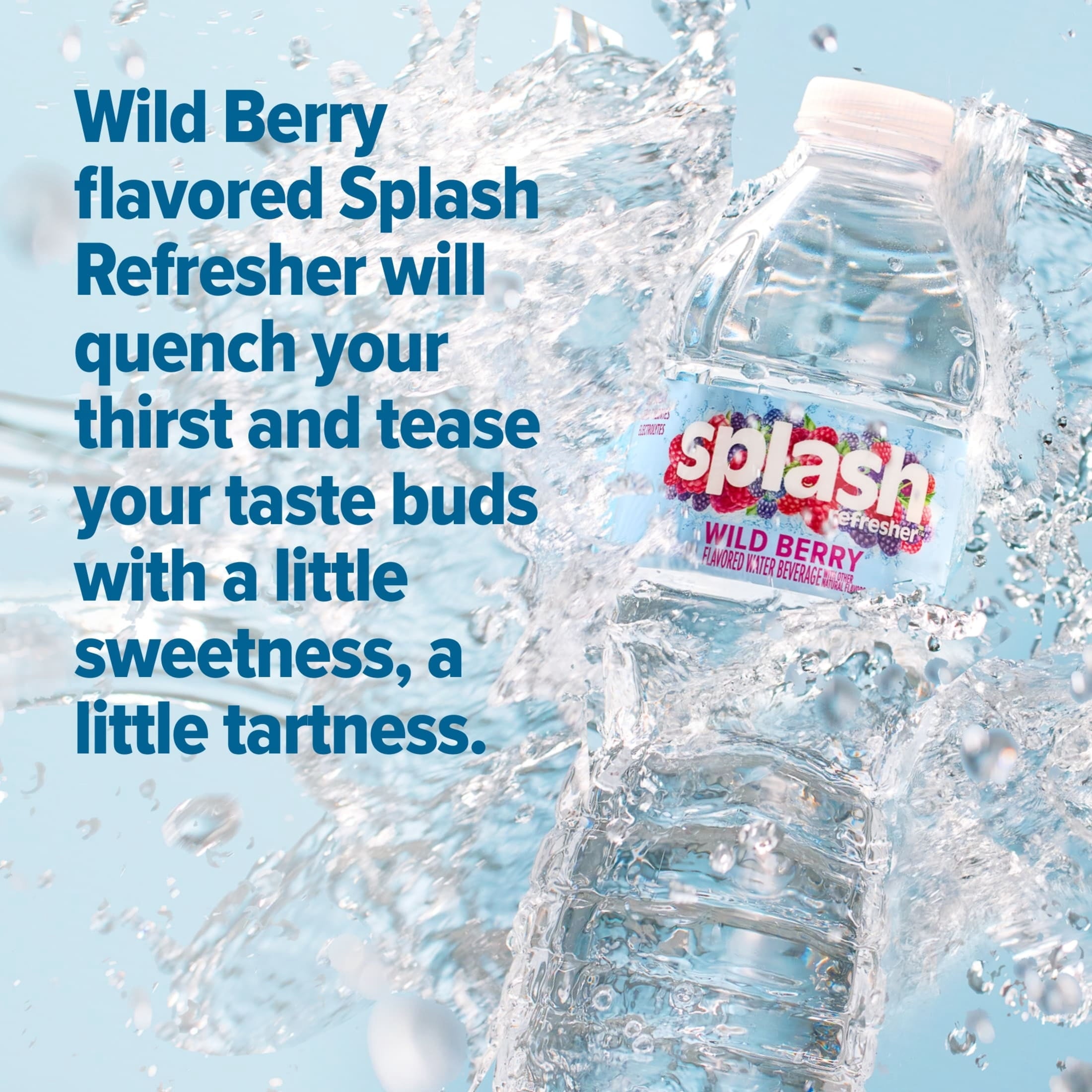 Splash Blast Wild Berry Flavored Water, 16.9 fl oz, 6-pack Plastic Bottles