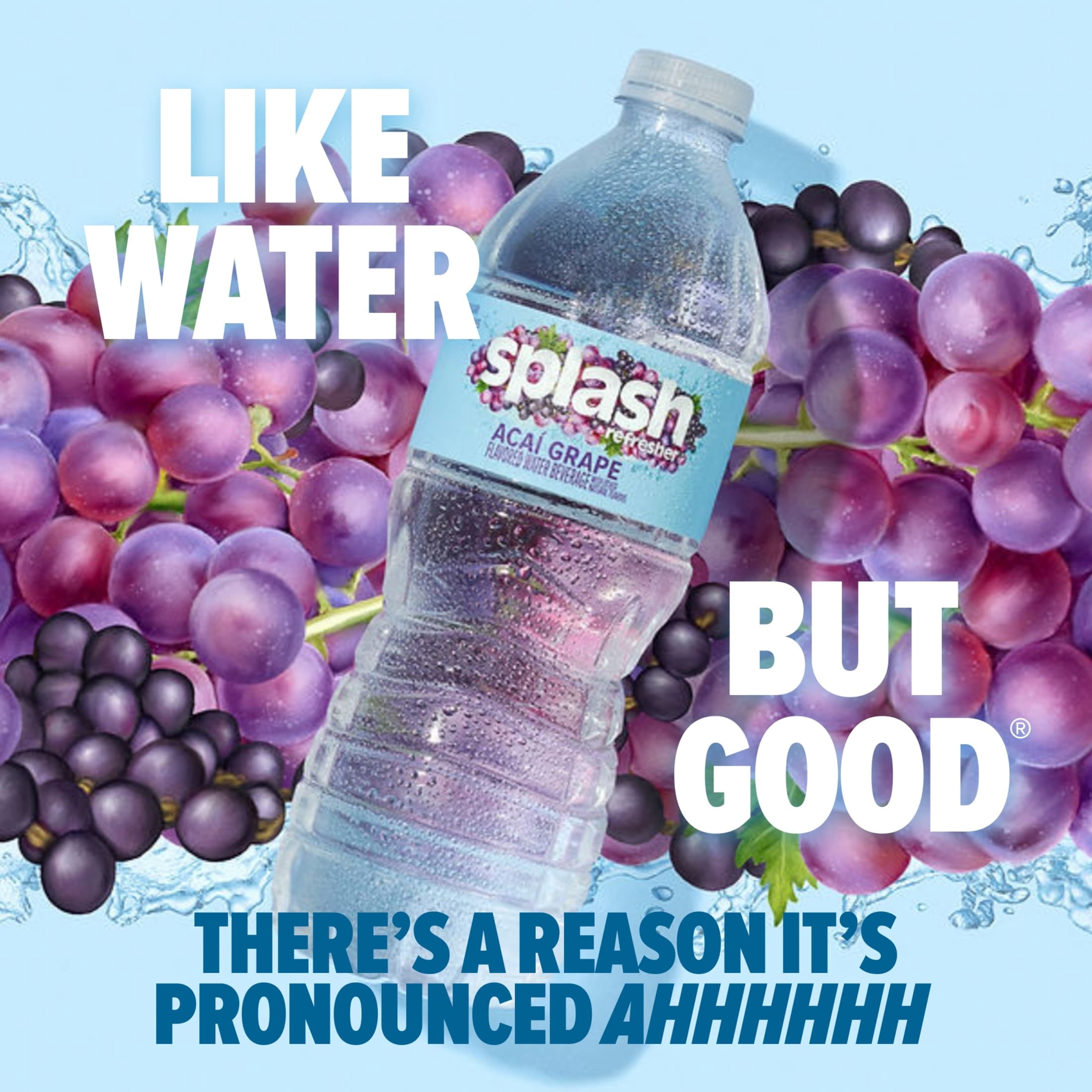 Splash Blast Acai Grape Flavored Water, 16.9 fl oz, 6-pack Plastic Bottles